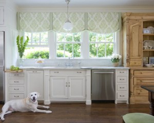 Anjing putih di dapur putih