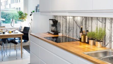Skinali - perkataan baru dalam hiasan dapur