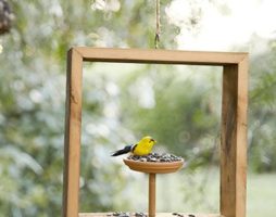 Pemakan burung - hiasan taman