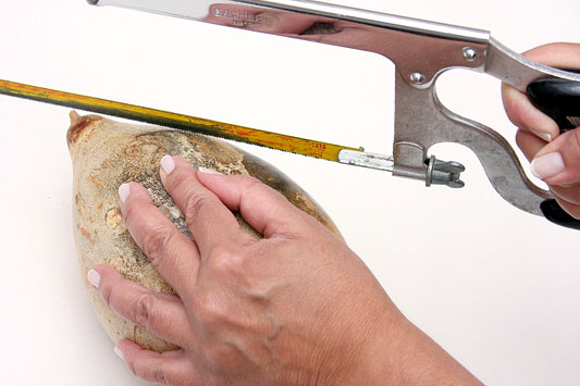 kraf labu DIY asli