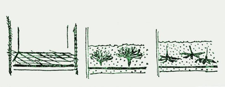 hiasan daun kering