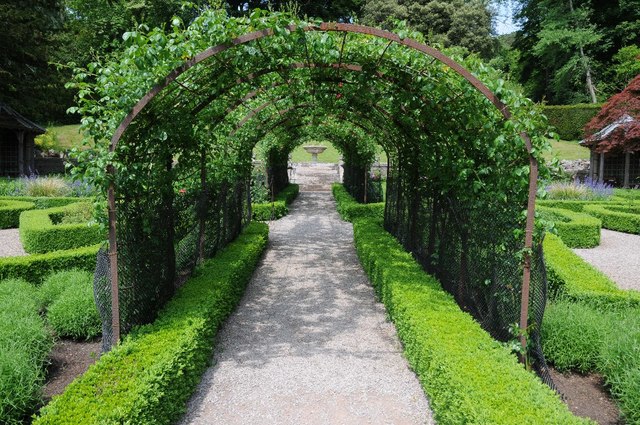 pergola taman