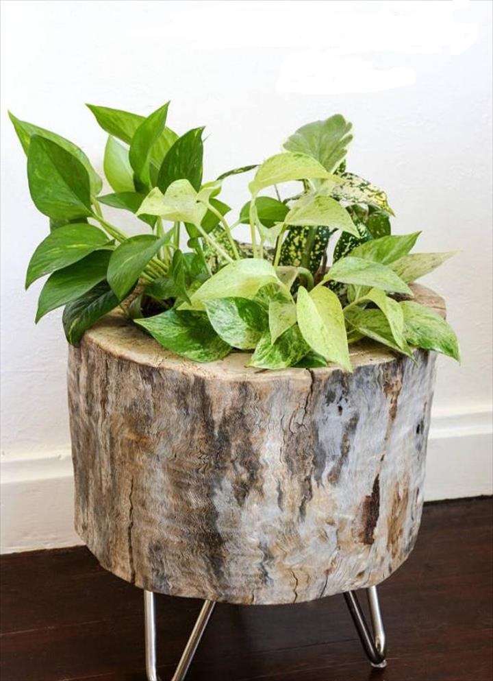 pasu bunga DIY