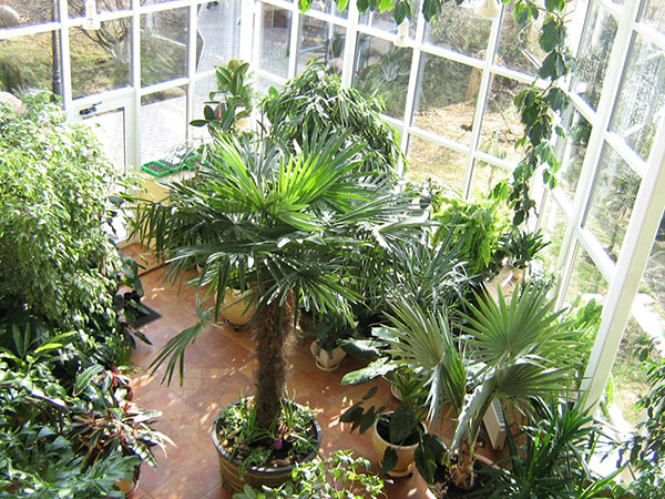 Taman musim sejuk