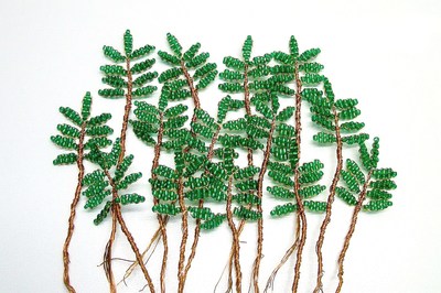pokok manik